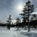 Bjonntjonn 221 Heimdal