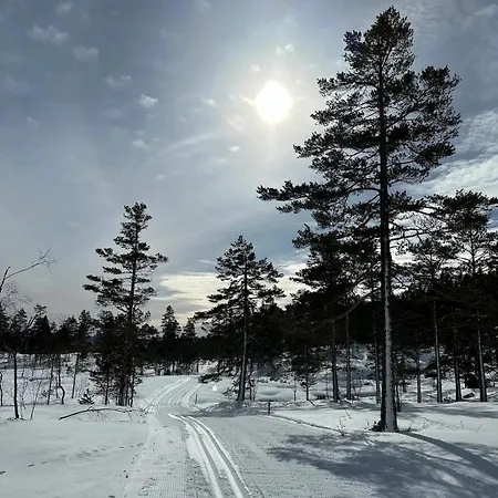 Bjonntjonn 221 Heimdal