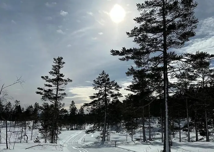 Bjonntjonn 221 Heimdal